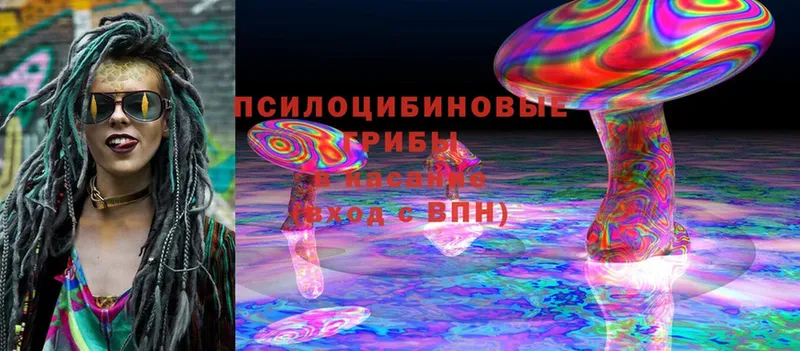 KRAKEN ссылка  Губкин  Галлюциногенные грибы мухоморы  где купить наркотик 